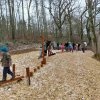 01 b Aktion Januar 25 SWR-Niederseilgarten
